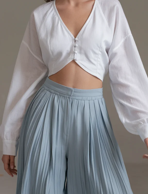 V-neck Top with Pleated Wide Legs